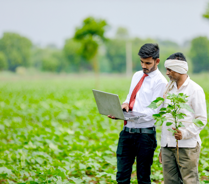 Groveman Farms | Large-Scale Farmers