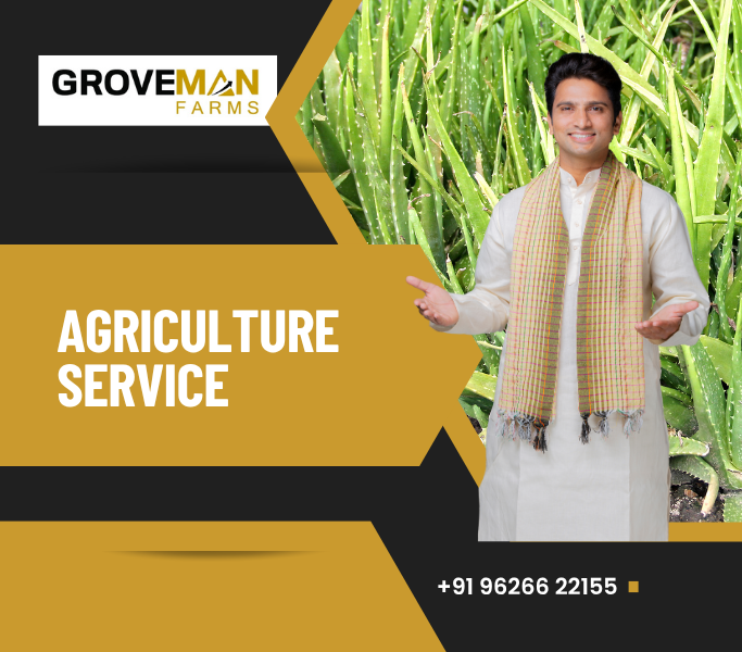 Faming Agency In Chennai | Groveman Farms