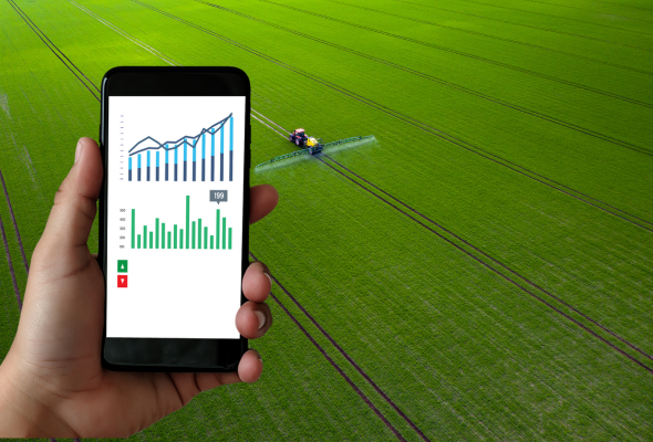 Groveman Farms | Groveman Groups company